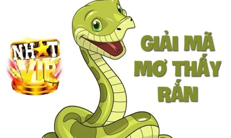 Giải mã Giấc Mơ Gặp Rắn tại NhatVip